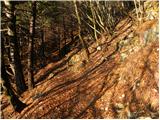 Predmeja (tunnels) - Koča Antona Bavčerja na Čavnu